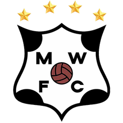 蒙得維的亞流浪者